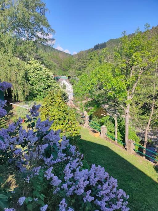 Le Secret Du Moulin, Agreable Tiny House Villefort Villefort  Bagian luar foto
